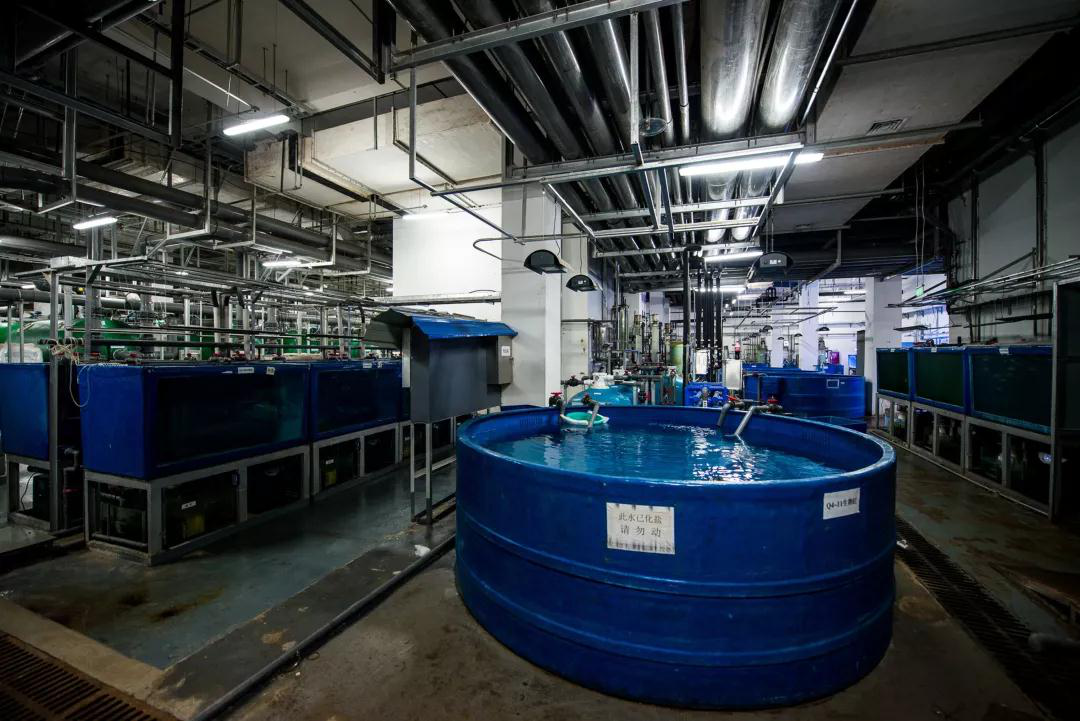 蠕動泵用于克服(fú)三種廢水問題